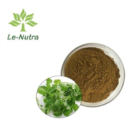 Ekstrak Taugeh Kacang