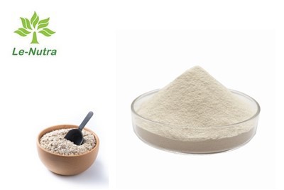 Apakah manfaat Serbuk Protein Oat Hidrolisis?